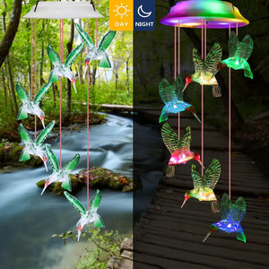 Colibrí solar