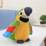 Loro bailarín