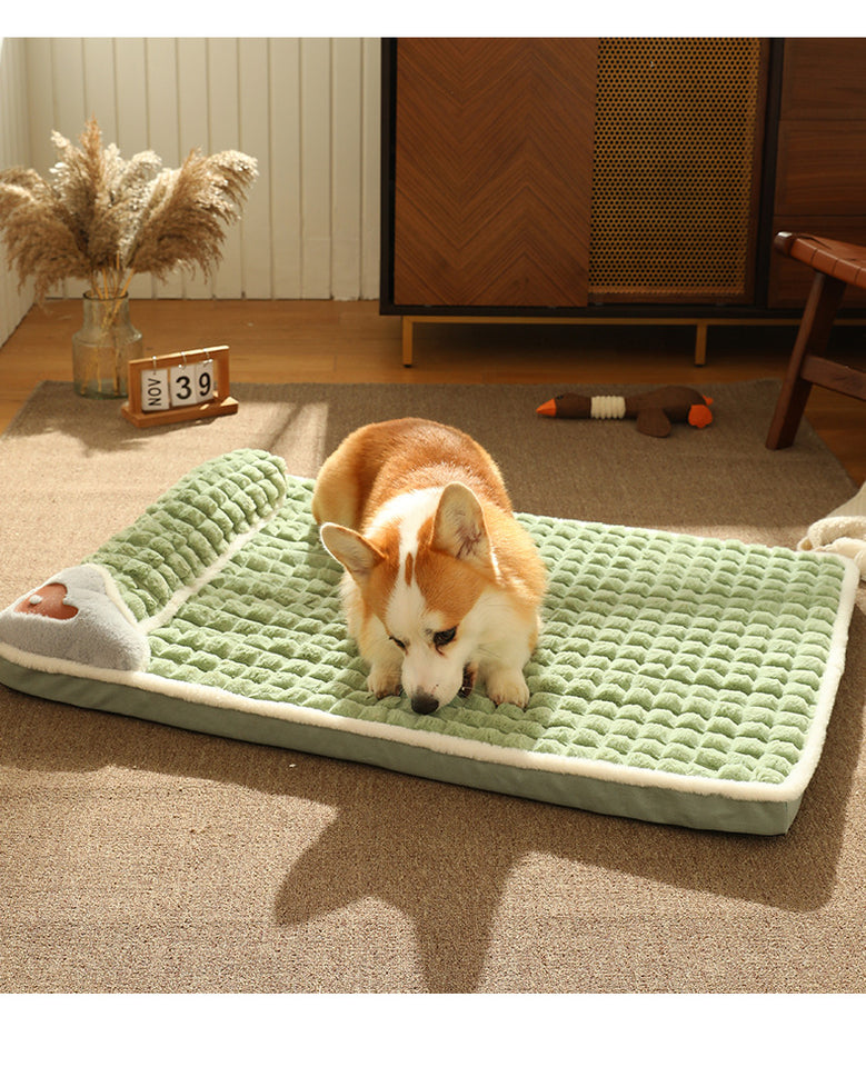 CAMA MASCOTA ORTOPEDICA