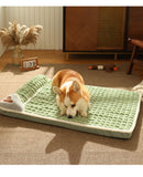 CAMA MASCOTA ORTOPEDICA