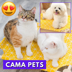 CAMA MASCOTAS