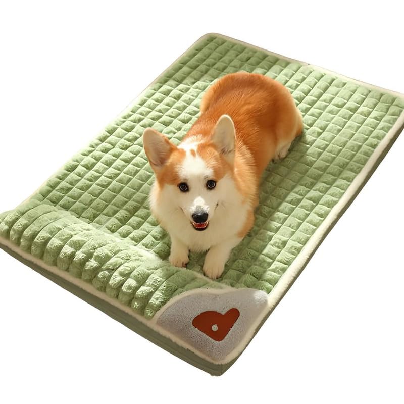 CAMA MASCOTA ORTOPEDICA
