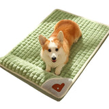 CAMA MASCOTA ORTOPEDICA