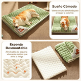 CAMA MASCOTA ORTOPEDICA