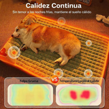 CAMA MASCOTA ORTOPEDICA