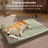 CAMA MASCOTA ORTOPEDICA