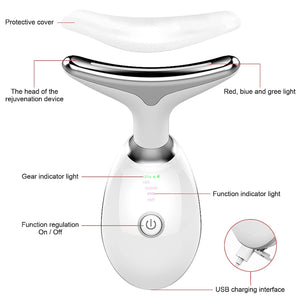 MASAJEADOR FACIAL IONICO