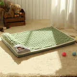 CAMA MASCOTA ORTOPEDICA