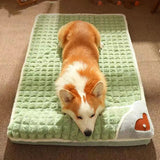 CAMA MASCOTA ORTOPEDICA