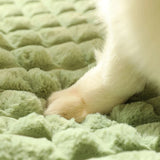 CAMA MASCOTA ORTOPEDICA