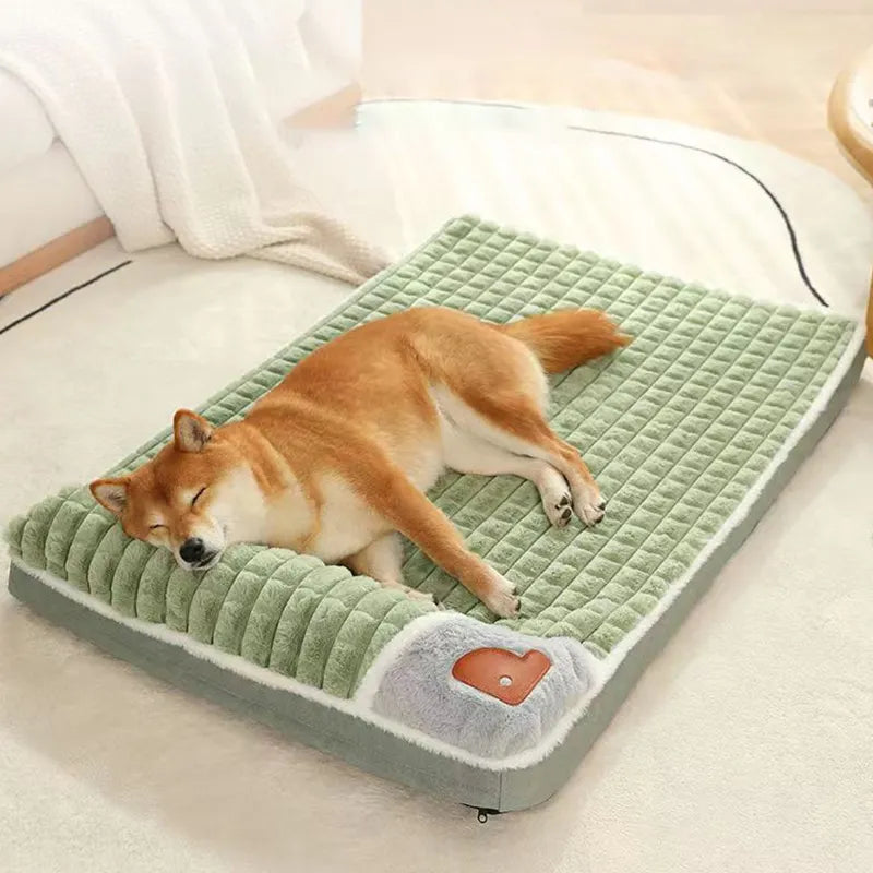 CAMA MASCOTA ORTOPEDICA