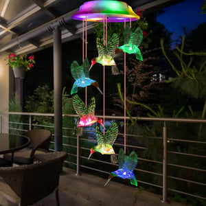 Colibrí solar