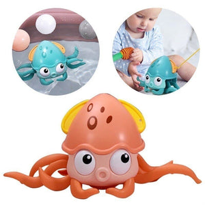 Pulpo Camina En Agua Y Tierra