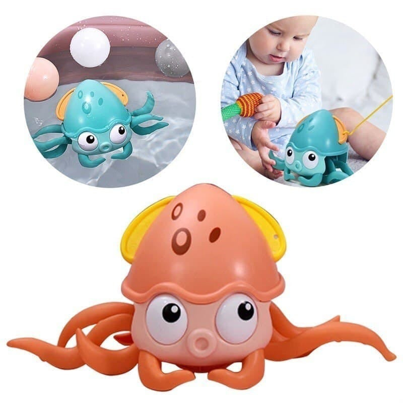 Pulpo Camina En Agua Y Tierra