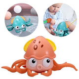 Pulpo Camina En Agua Y Tierra