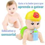 Bebe gateador