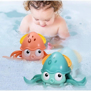 Pulpo Camina En Agua Y Tierra