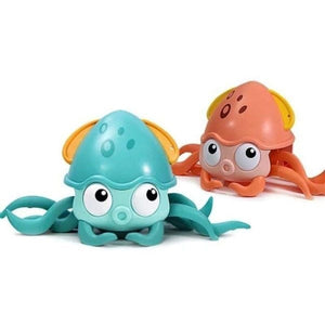 Pulpo Camina En Agua Y Tierra