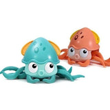 Pulpo Camina En Agua Y Tierra