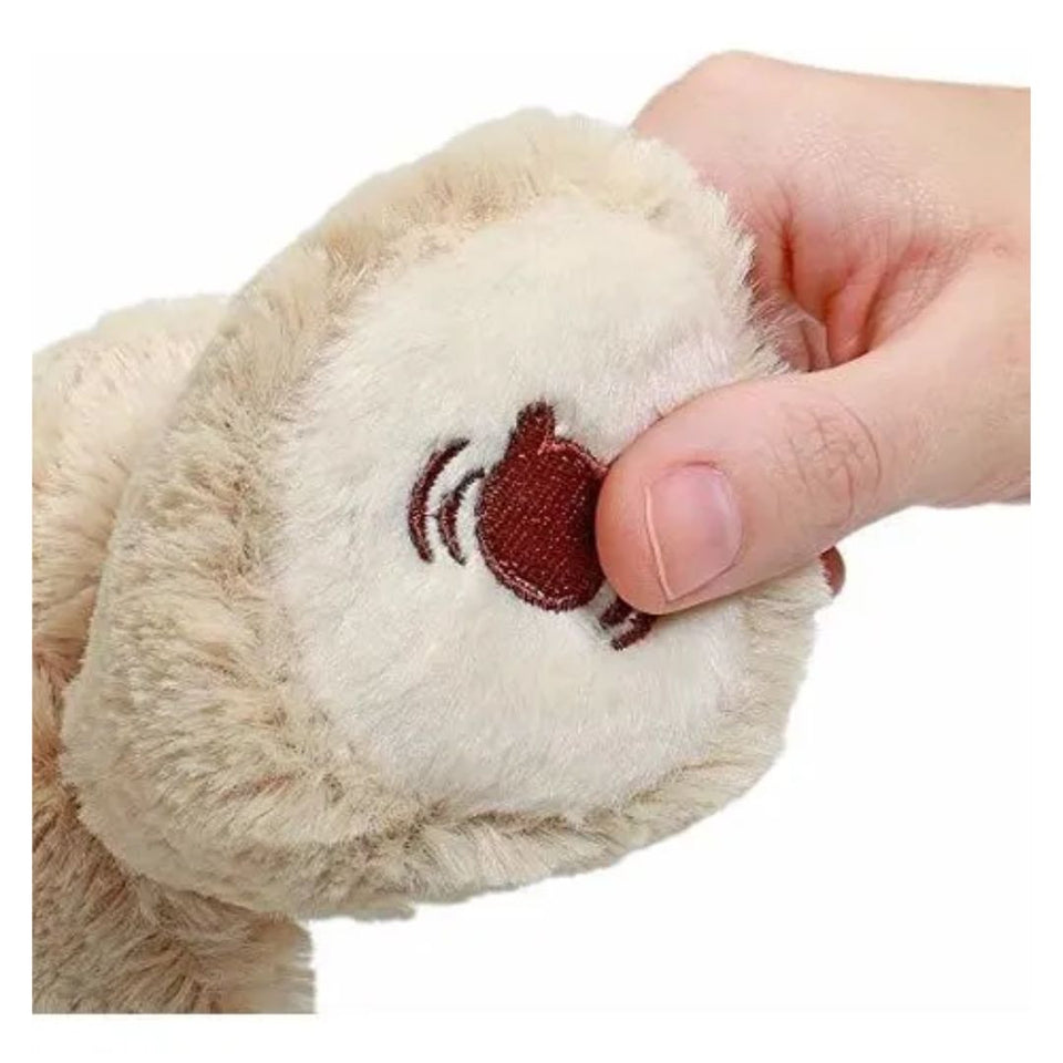 Oso De Peluche Jugando A Escondidas